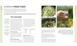  VEG IN ONE BED NEW EDITION : HOW TO GROW AN ABUNDANCE OF FOOD IN ONE RAISED BED, MONTH BY MONTH 