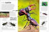  INSECT 