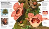  KNOWLEDGE ENCYCLOPEDIA PLANTS AND FUNGI! 