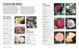  GROW ROSES: ESSENTIAL KNOW HOW AND EXPERT ADVICE FOR GARDENING SUCCESS 