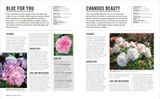  GROW ROSES: ESSENTIAL KNOW HOW AND EXPERT ADVICE FOR GARDENING SUCCESS 