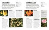  GROW ROSES: ESSENTIAL KNOW HOW AND EXPERT ADVICE FOR GARDENING SUCCESS 