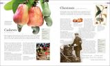 THE FOOD BOOK 