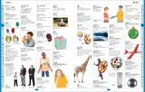  CHILDREN'S ILLUSTRATED DICTIONARY 