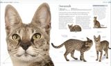  THE CAT ENCYCLOPEDIA : THE DEFINITIVE VISUAL GUIDE 