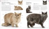  THE CAT ENCYCLOPEDIA : THE DEFINITIVE VISUAL GUIDE 
