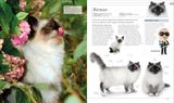  THE CAT ENCYCLOPEDIA : THE DEFINITIVE VISUAL GUIDE 