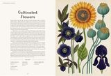  BOTANICUM (WELCOME TO THE MUSEUM) 