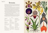  BOTANICUM (WELCOME TO THE MUSEUM) 