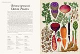  BOTANICUM (WELCOME TO THE MUSEUM) 