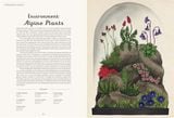  BOTANICUM (WELCOME TO THE MUSEUM) 