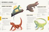  ENCYCLOPEDIA OF ANIMALS 