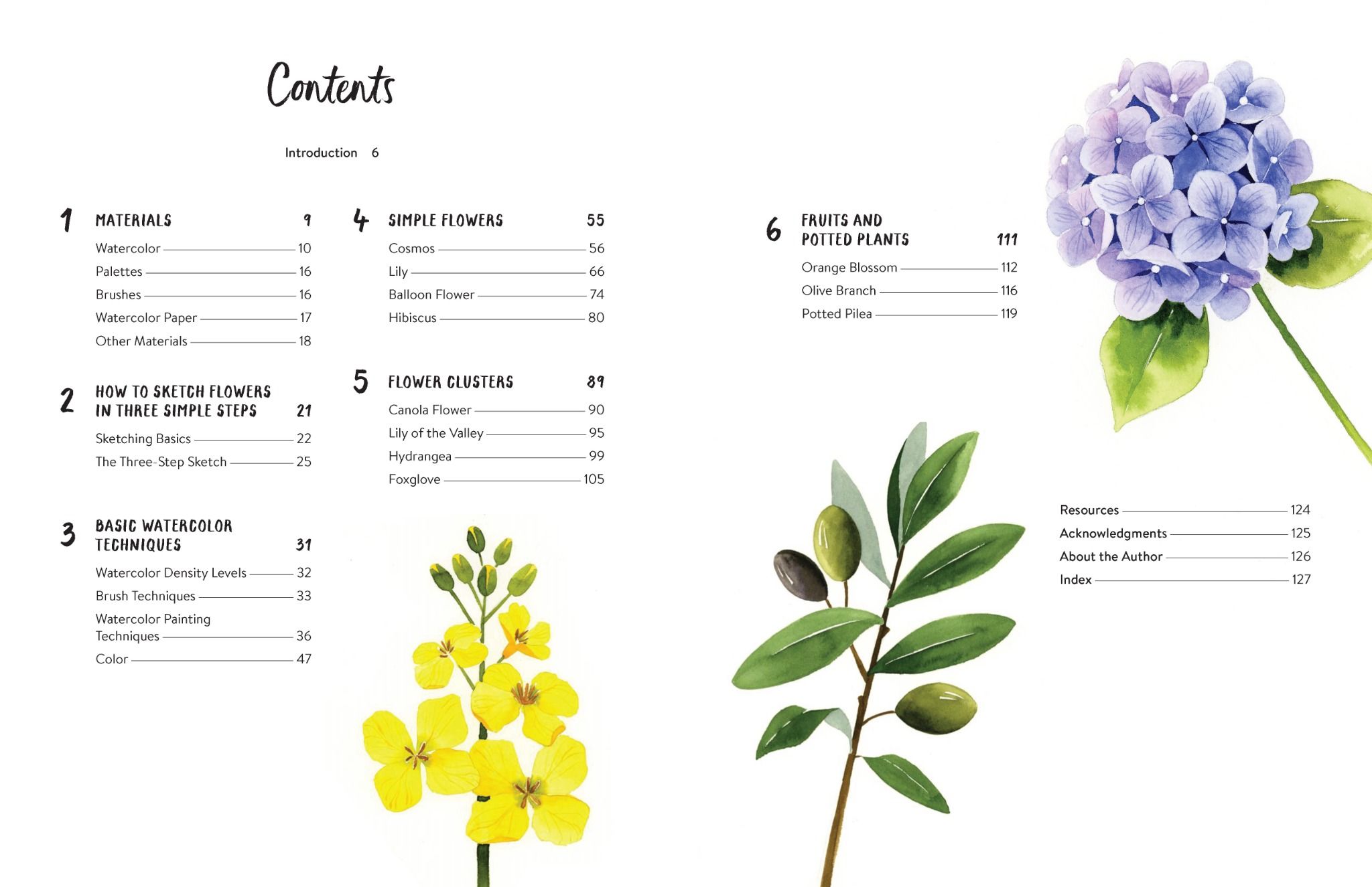 DRAWING AND PAINTING BEAUTIFUL FLOWERS Mickey's Bookstore