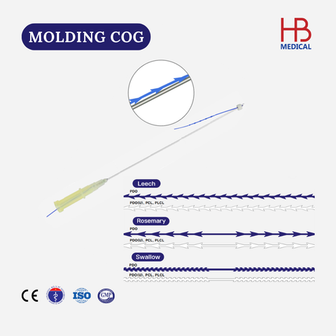 MOLDING COG 