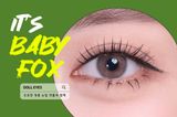  Kính áp tròng DOLL EYES Babyfox - 14,2mm - 1 Month 