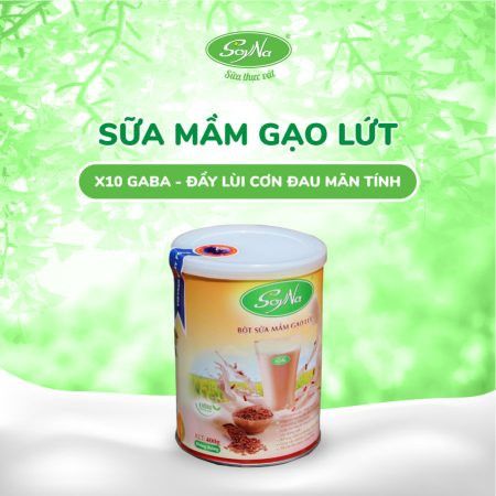 Sữa Mầm Gạo Lứt Soyna - Dinh Dưỡng Cho Người Tiểu Đường, Người Già, Ăn Chay, Ăn Kiêng, Giảm Cân, Eat Clean, Healthy, Tốt Cho Tim Mạch (SH)