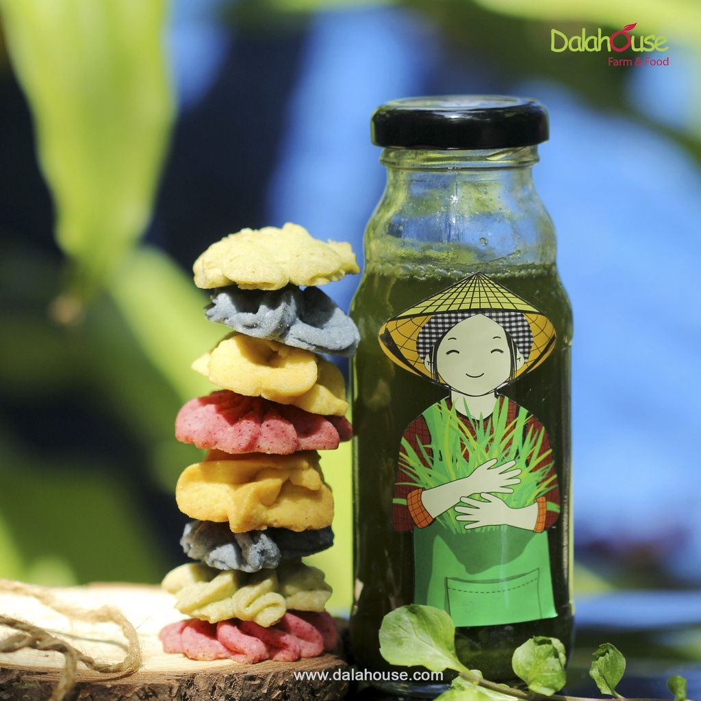 Bột Cỏ Lúa Mì Dalahouse - Bột Rau Củ Hữu Cơ Nguyên Chất Sấy Lạnh (BRC)