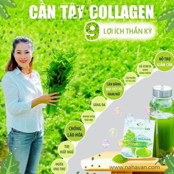 Cần Tây Collagen Thiên Nhiên Việt - Đẹp Da, Giảm Cân Giữ Dáng