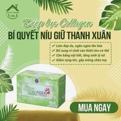 Diệp Lục Collagen Đẹp Da Đẹp Dáng Thanh Lọc Cơ Thể