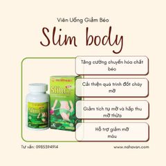 Giảm Cân Slim Body New HVQY Hổ Trợ Giảm Béo Giảm Mỡ Máu 100V