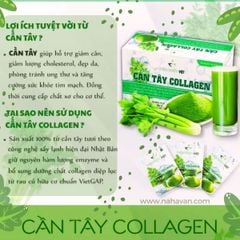 Cần Tây Collagen Thiên Nhiên Việt - Đẹp Da, Giảm Cân Giữ Dáng