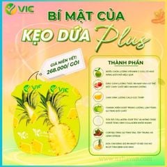 Kẹo Dứa Giảm Cân VIC Plus 7 Viên 7 Vị 7 Ngày