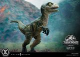  Baby Blue - Jurassic World: Fallen Kingdom - Prime 1 Studio (LMCJW2-08) 