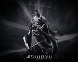  Shiryu - One Piece - LX Studio 