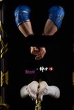  Lancer NSFW - Fate/Grand Order - BDSM Studio & Gentleman18 Studio 