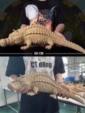  Crocodile - One Piece - Warhead Studio 