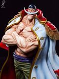  Whitebeard - One Piece - Brain Hole Studio 
