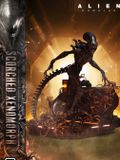  Scorched Xenomorph - Alien: Romulus - Prime 1 Studio 