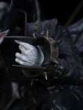  The Batman Who Laughs - DC Comics - XM Studio 
