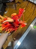  Luffy vs Kaido Dragon - One Piece - Randian Studio 
