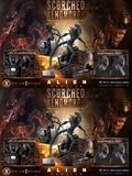  Scorched Xenomorph - Alien: Romulus - Prime 1 Studio 