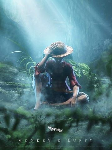  Luffy - One Piece - Wings Studio 