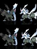  Black and White Kyurem - Pokemon - Wonder Studio 