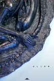  Xenomorph - Alien - Deep Tale Studio 