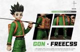  Gon Freecss - Hunter x Hunter - Cross Studio 