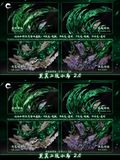  Ulquiorra Cifer Ver 2.0 - Bleach - Cheng Studio 