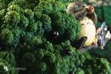  Totoro Diorama - My Neighbour Totoro - Shenyin Studio 