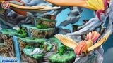  Pidgeot - Pokemon - Fantasy Studio 
