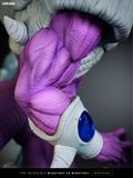  Cooler VS Goku - Dragon Ball - Chikara Studio 