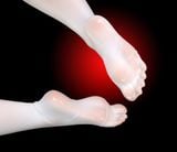  Suzuran & Vulpisfoglia - Arknights - Arctic Wolf Studio 