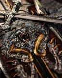  Alucard - Castlevania - Creation Studio 