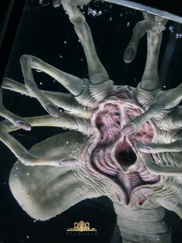  Facehugger Stasis Chamber - Alien - Deep Tale Studio 