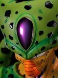  Bust Cell 1st Form - Dragon Ball - Army Ant Studio 