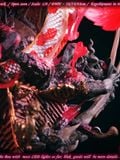  Boa Hancock - One Piece - Monkey D Studio 