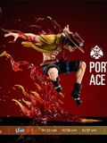  Portgas D. Ace - One Piece - Wink Studio 