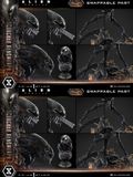  Scorched Xenomorph - Alien: Romulus - Prime 1 Studio 
